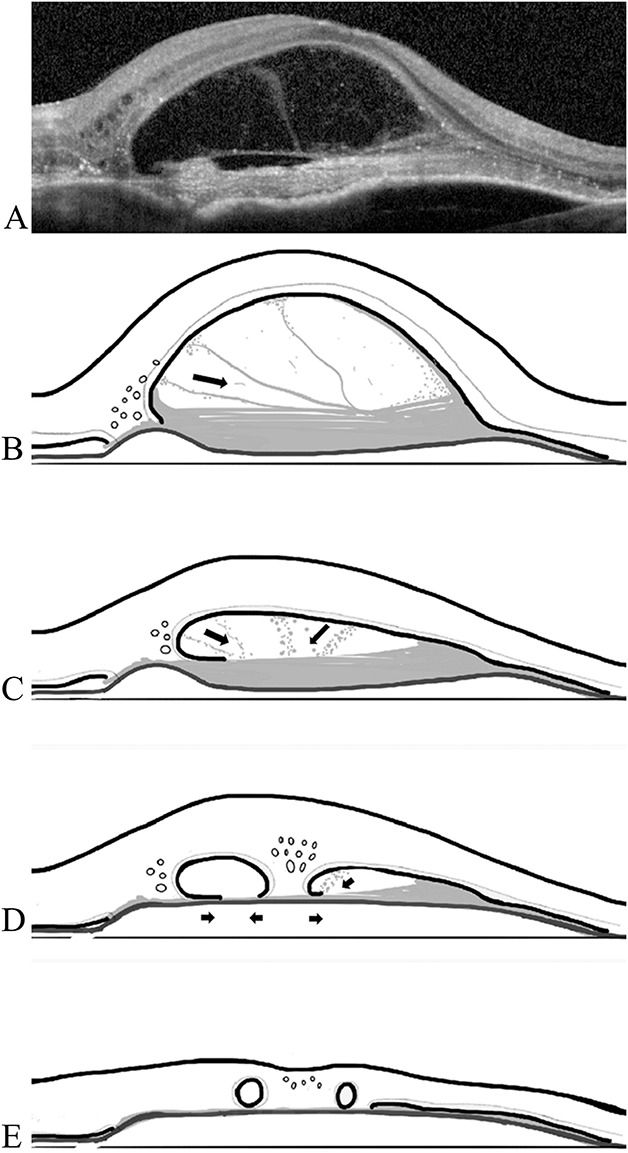 Fig. 3.