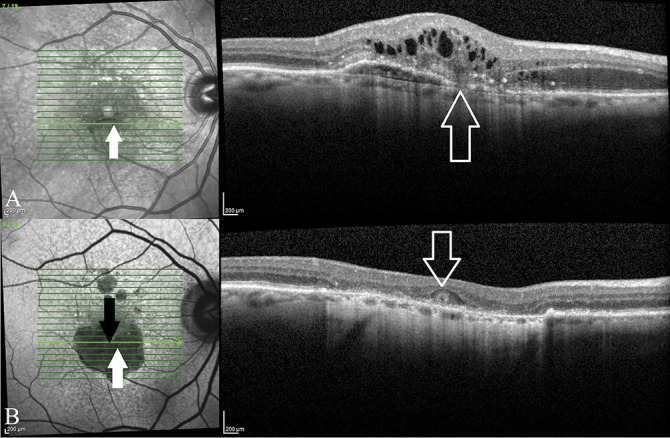 Fig. 4.