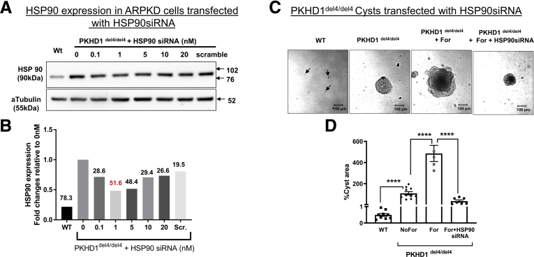 Figure 6