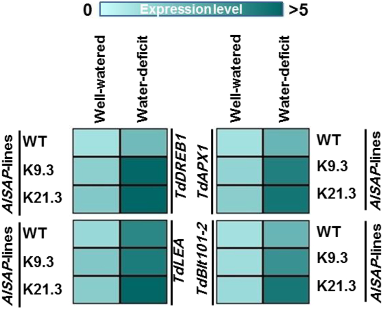 Fig. 8