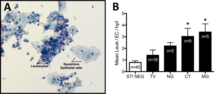 FIG 2