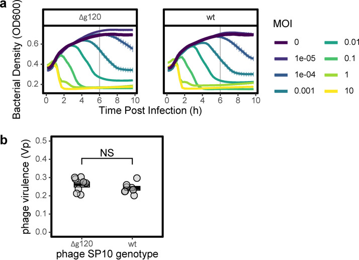 FIG 2