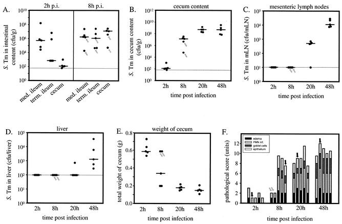 FIG. 8.