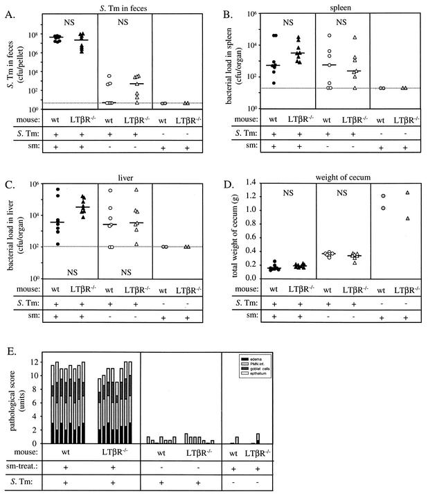 FIG. 13.