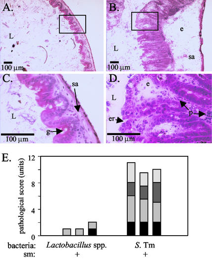 FIG. 7.