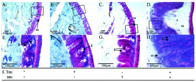 FIG. 5.