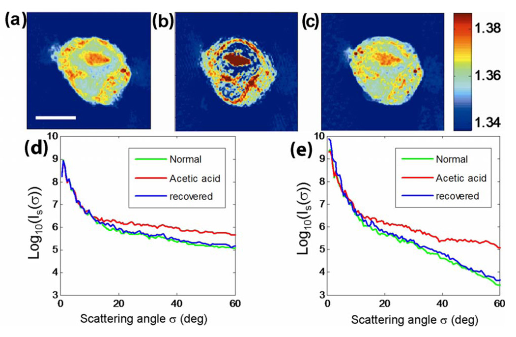 Fig. 3