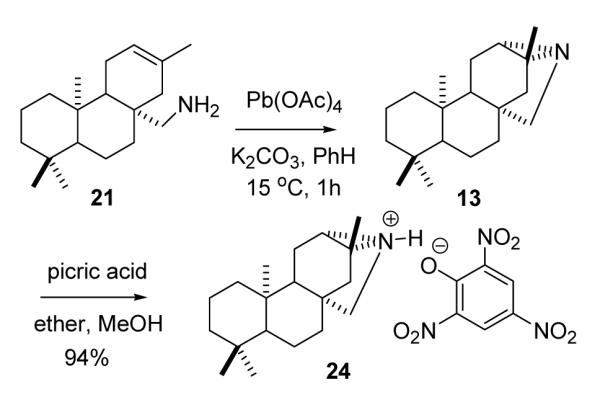 SCHEME 4