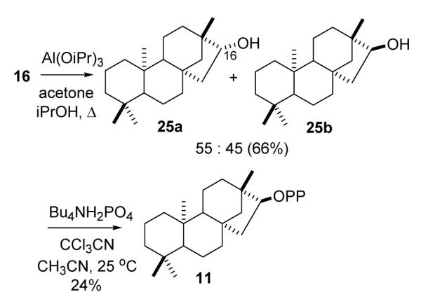 SCHEME 5