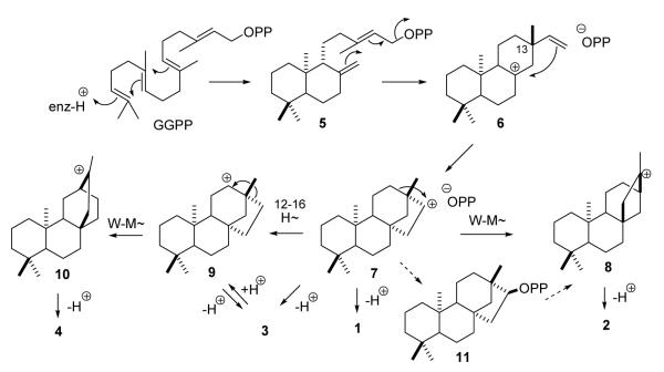 SCHEME 1