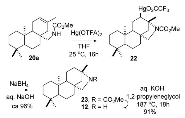 SCHEME 3