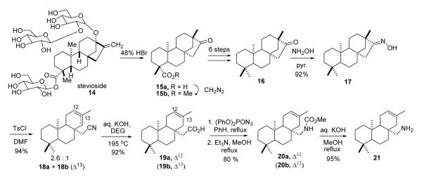 SCHEME 2