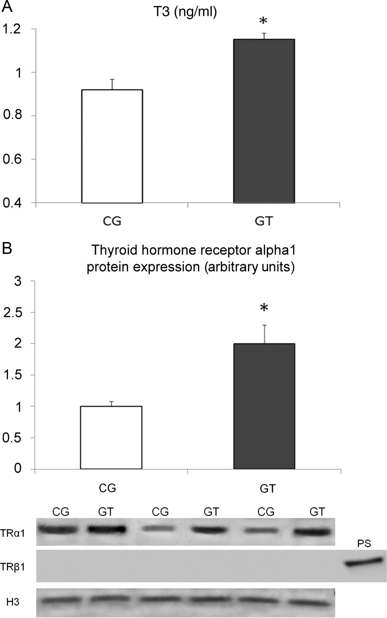 Figure 1: