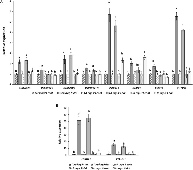 FIGURE 3