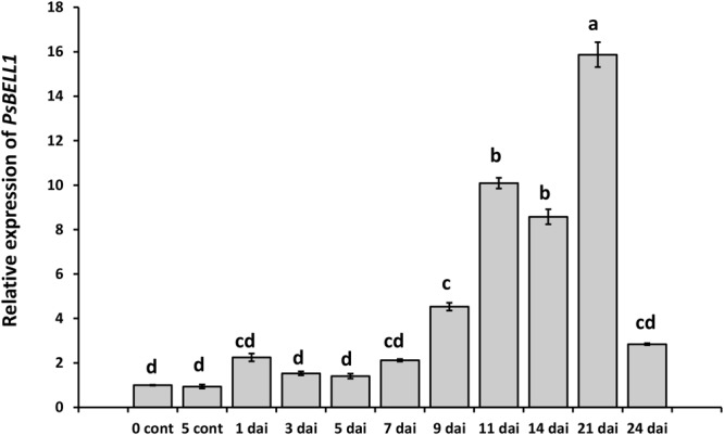 FIGURE 1