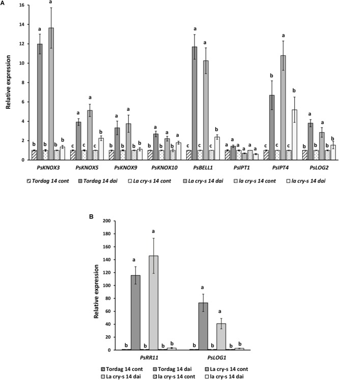 FIGURE 4