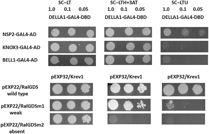 FIGURE 6