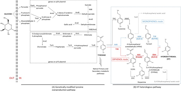 Fig 1