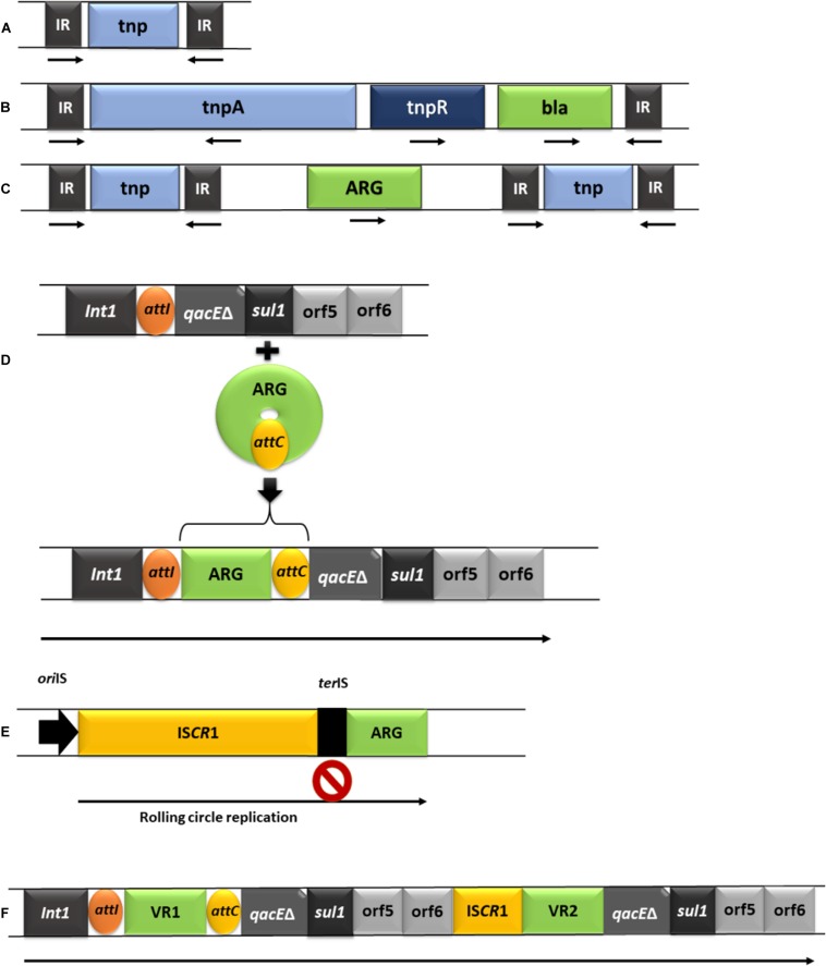 FIGURE 2