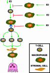 Fig. 1.