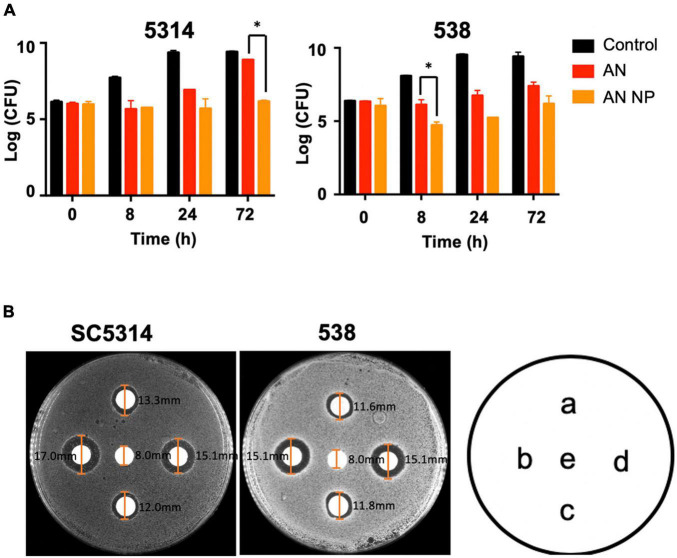 FIGURE 4