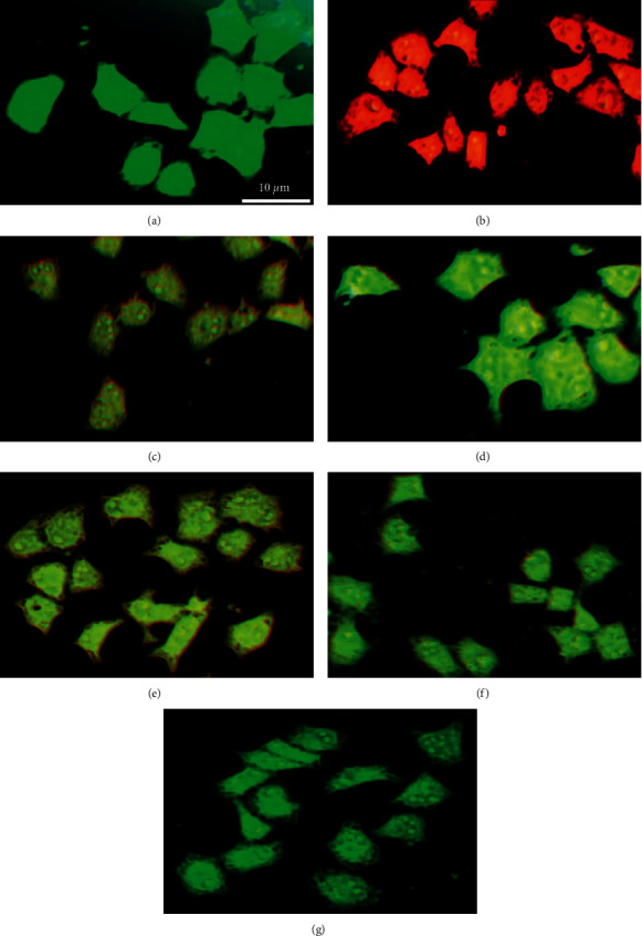 Figure 11