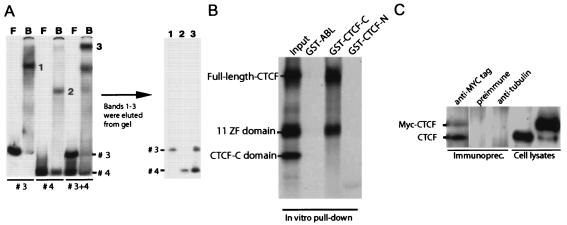 FIG. 5.