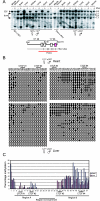 FIG. 4.