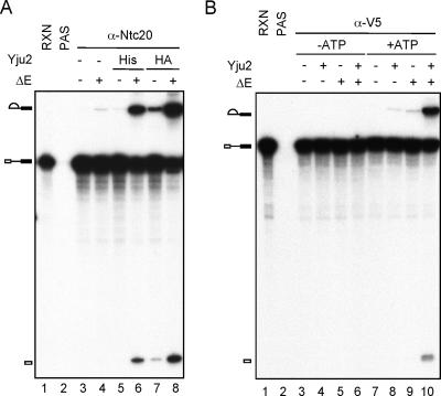 FIG. 7.