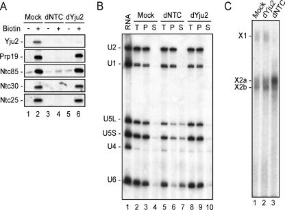 FIG. 5.