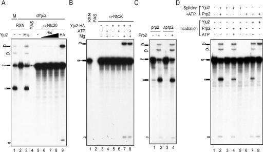 FIG. 6.