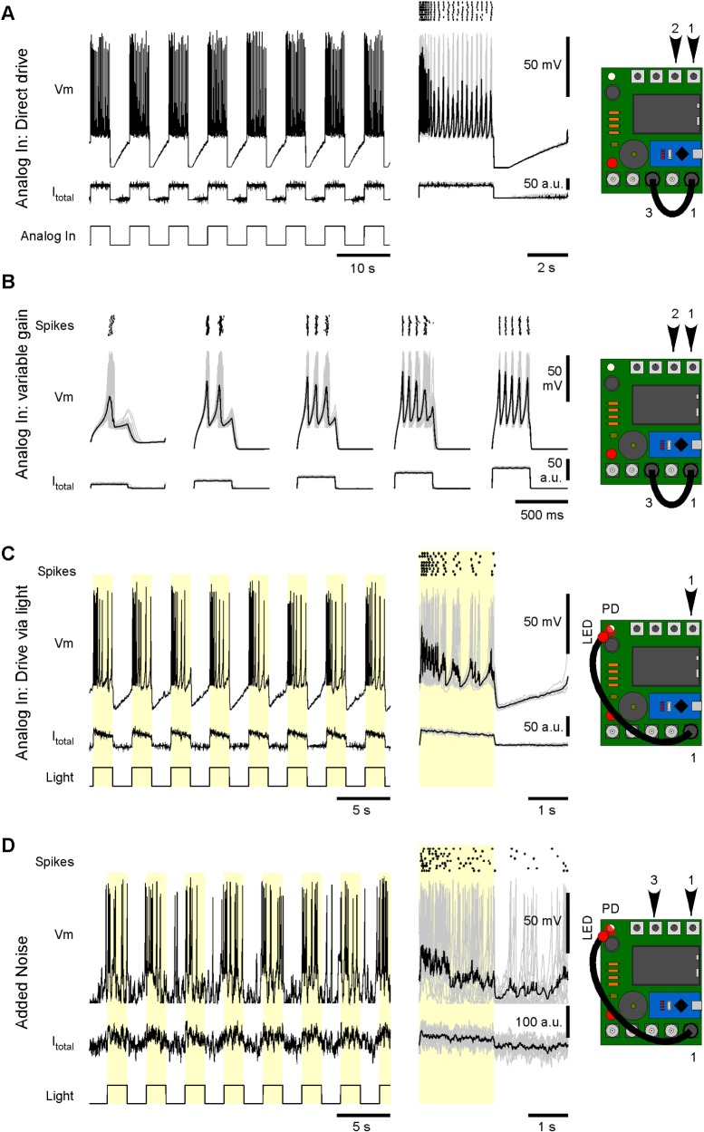 Fig 3