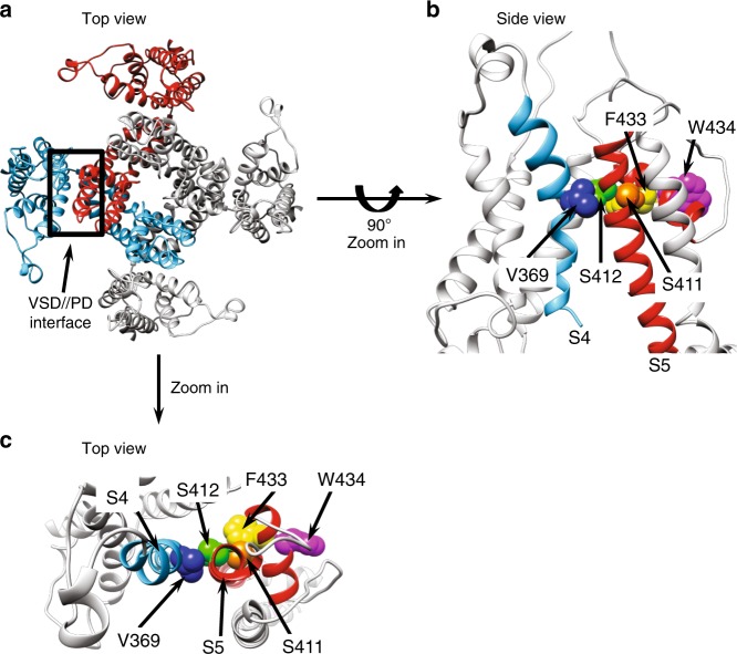 Fig. 7