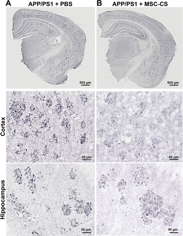 Fig. 7