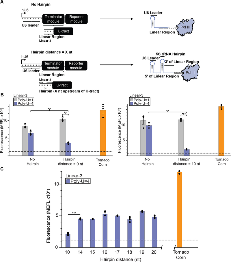 Figure 4: