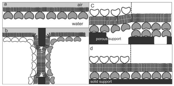 FIG. 7