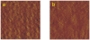 FIG. 5