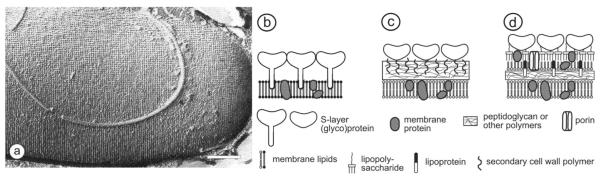 FIG.1