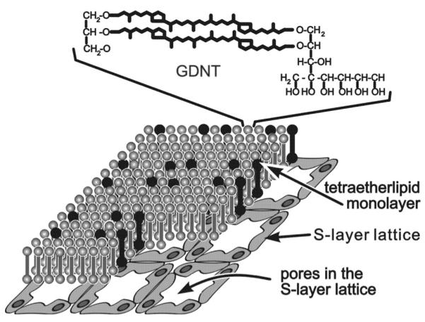 FIG. 4