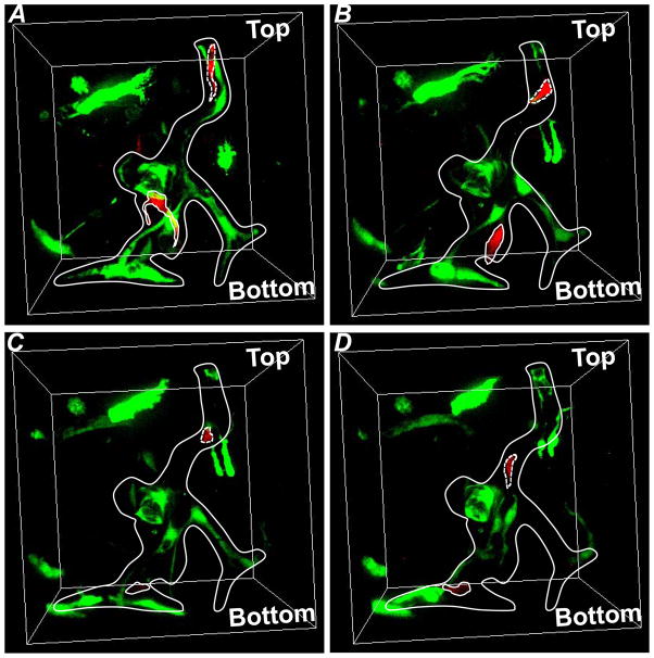 Fig. 8