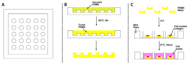 Fig. 9