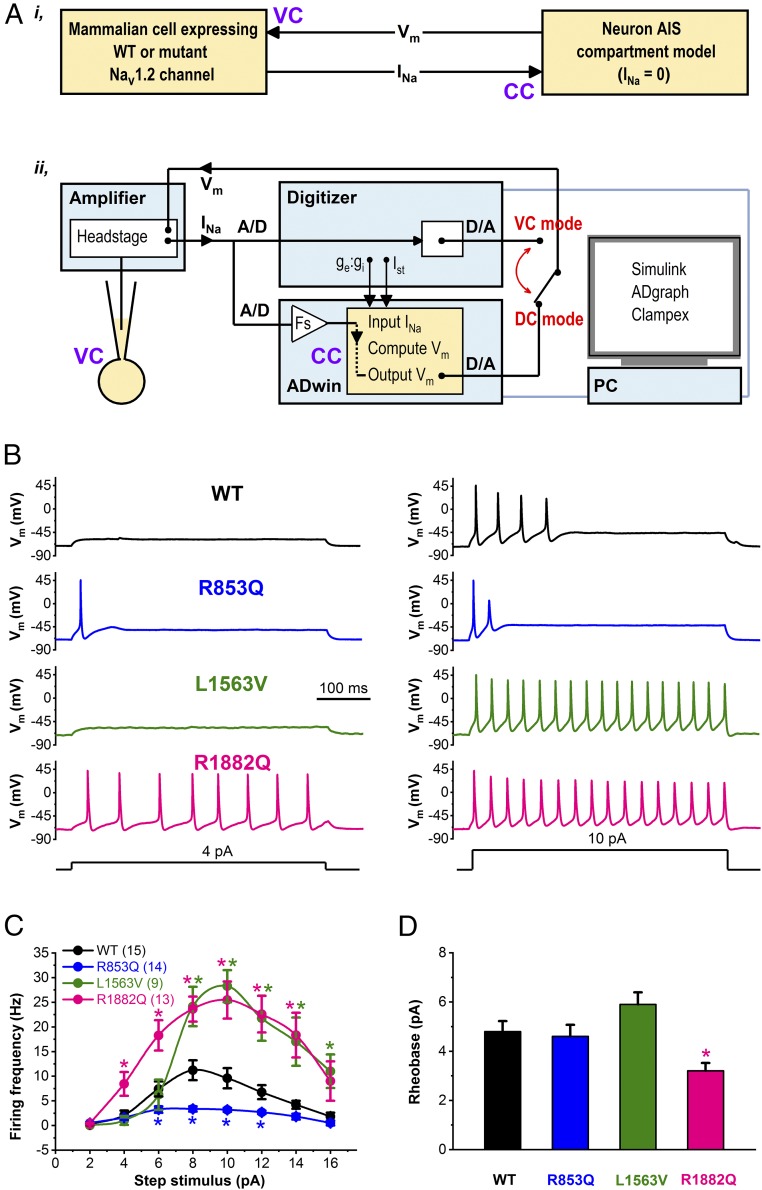 Fig. 4.