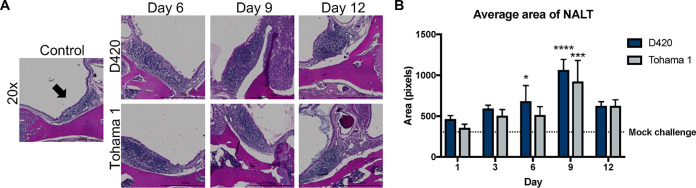 FIG 6