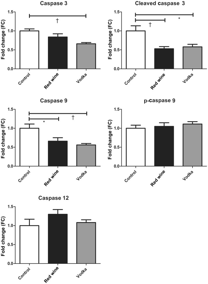 Figure 3: