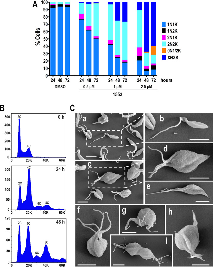 FIG 6