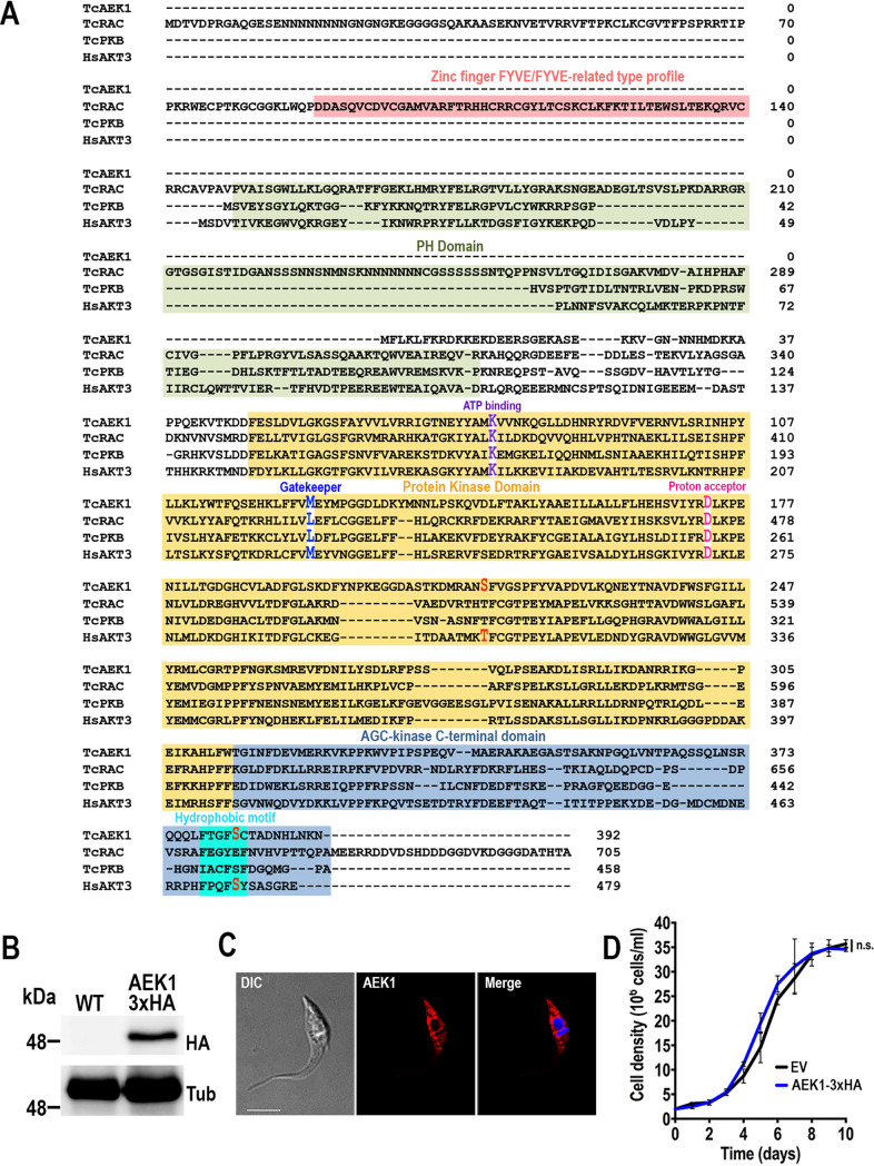 FIG 1