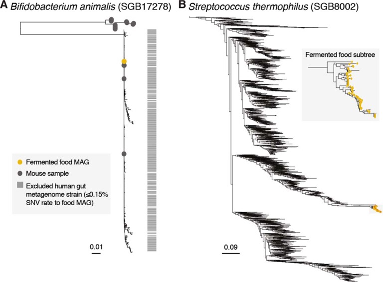 Extended Data Fig. 4