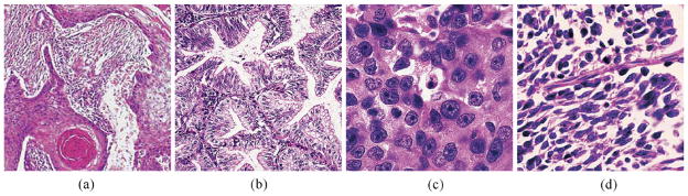 Fig. 8