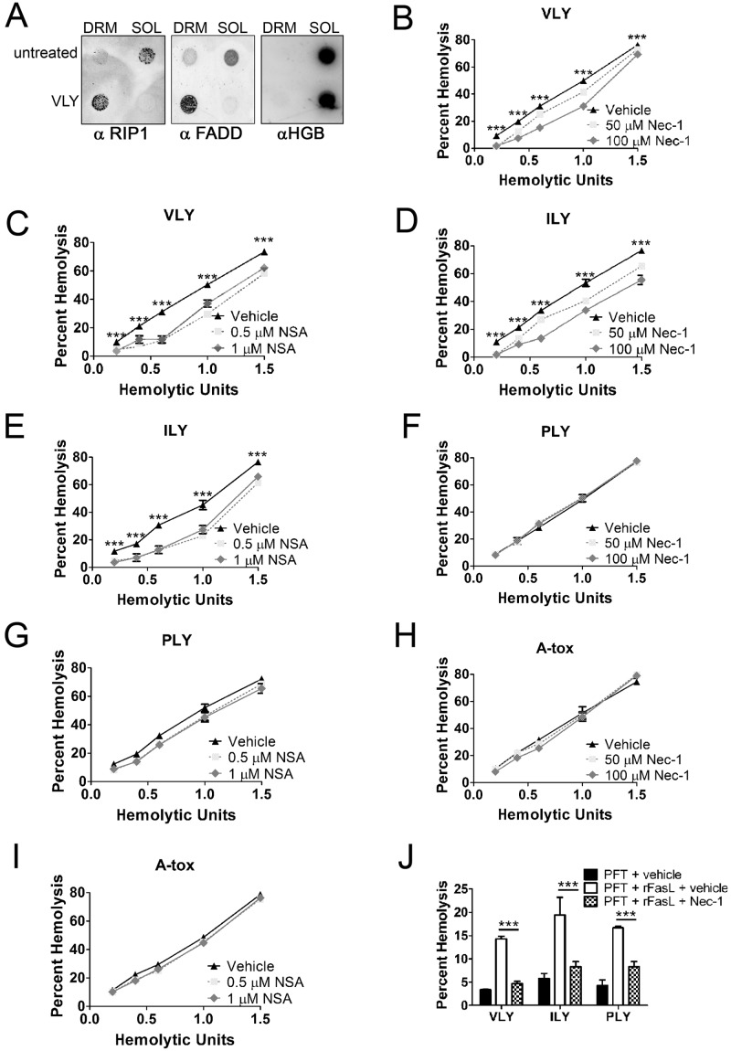 FIG 3 