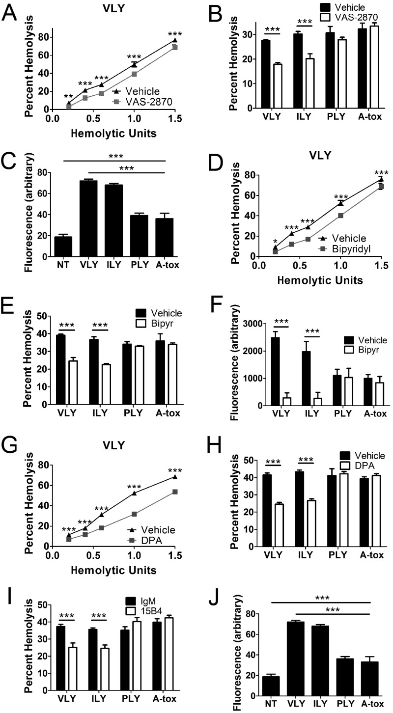 FIG 6 